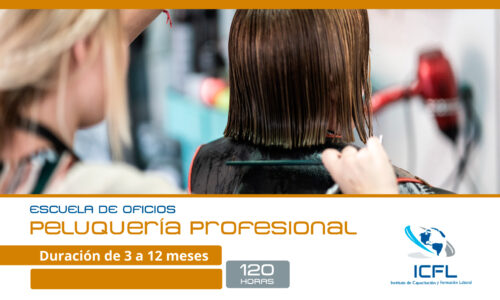 Peluquería Profesional